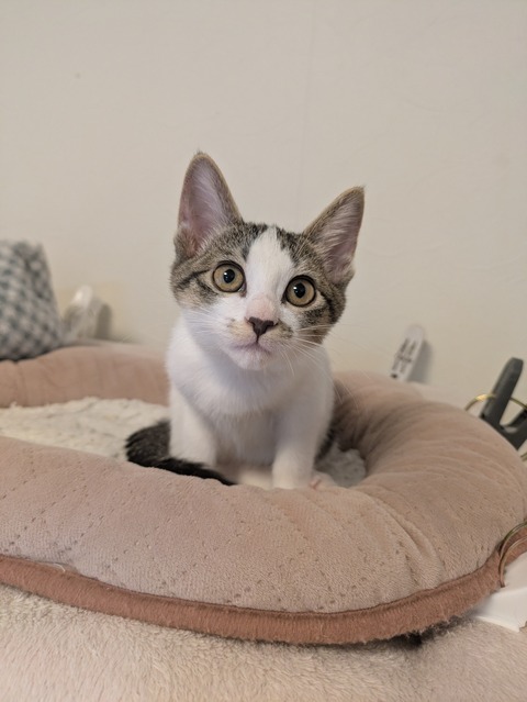 PXL_20251109_032637641