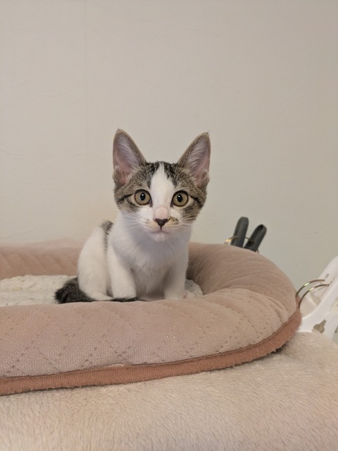 PXL_20251109_032645825