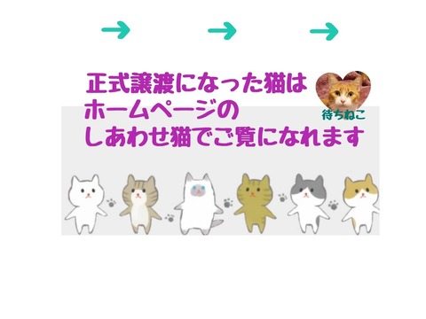 jpg