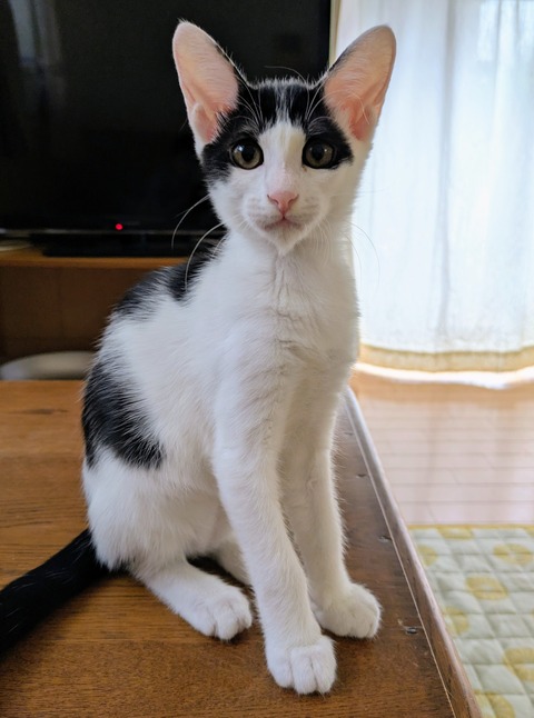 PXL_20251003_002242948~2