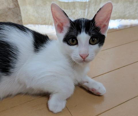 PXL_20251003_002521351~2