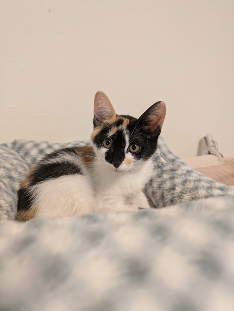 PXL_20251109_033009955