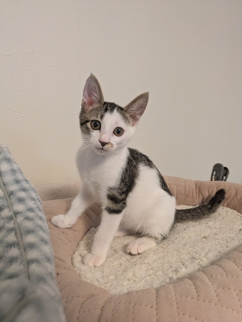 PXL_20251109_032738846