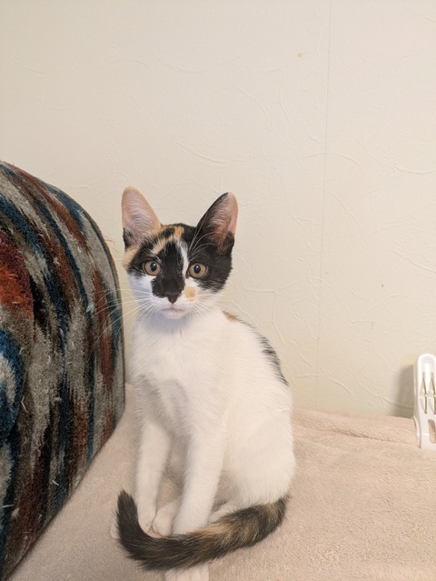 PXL_20251109_032650717