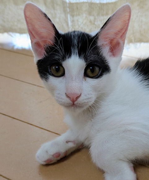 PXL_20251003_002521351~3