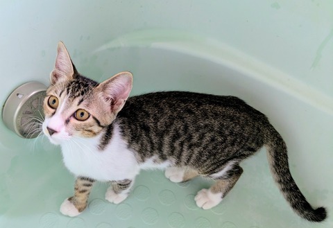 PXL_20251003_002928001~2