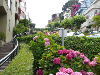 家族を連れて海外旅行体験記 サンフランシスコ 北カリフォルニア