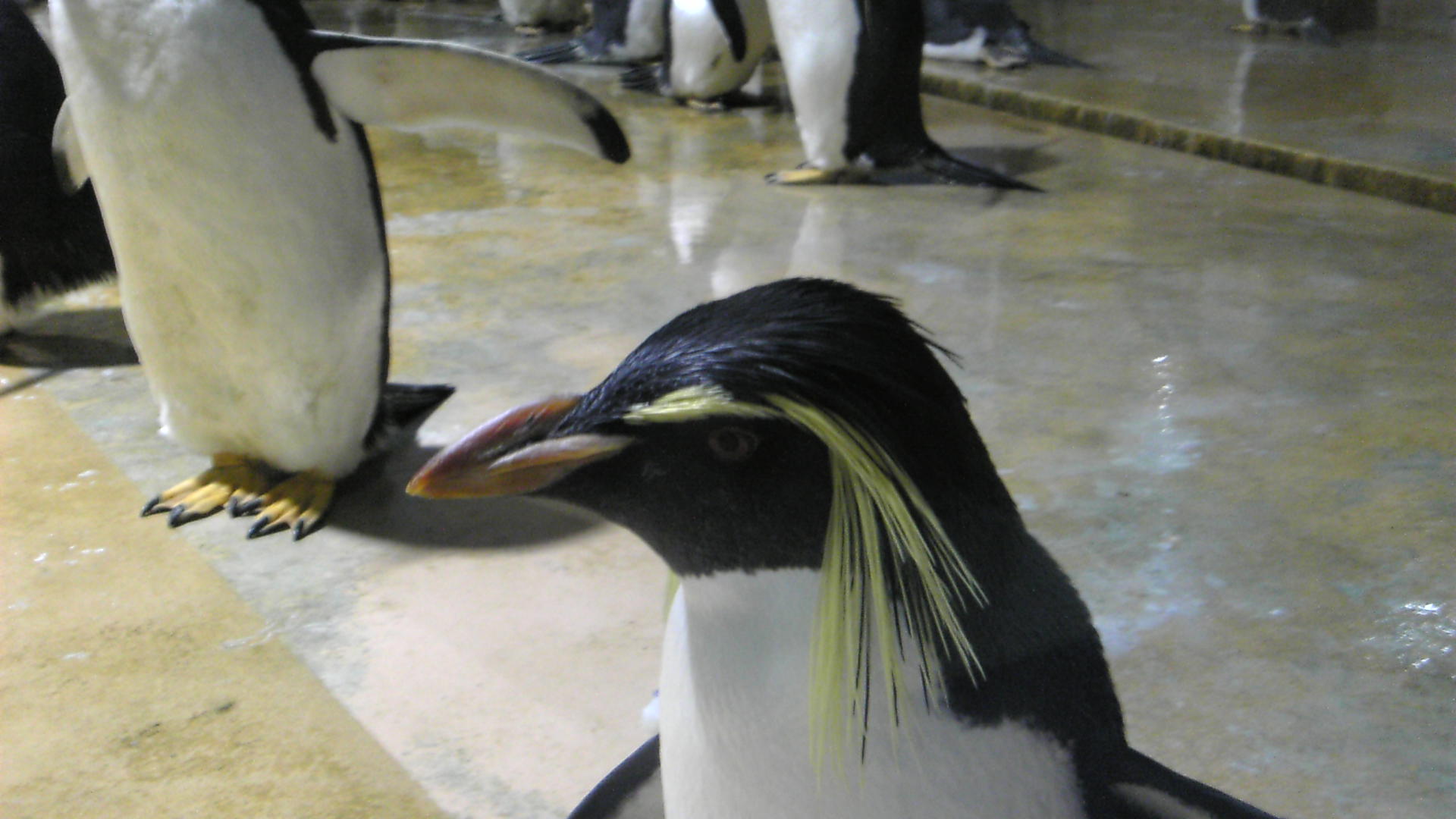 らぷたん日記(,,ﾟДﾟ) 2007年05月