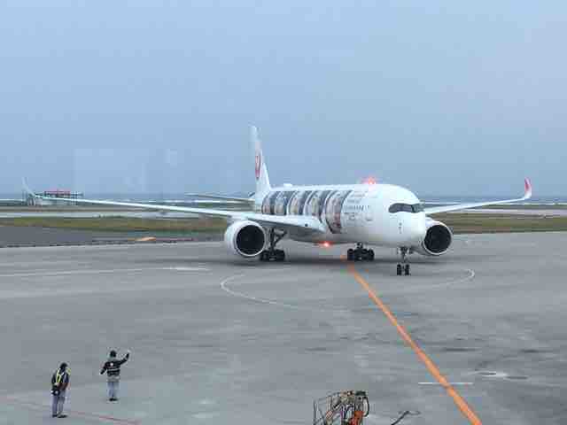 ｊａｌ エアバス ａ３５０ 嵐ジェット 搭乗記 池っちの あっちこっち旅行記 北海道移住日記
