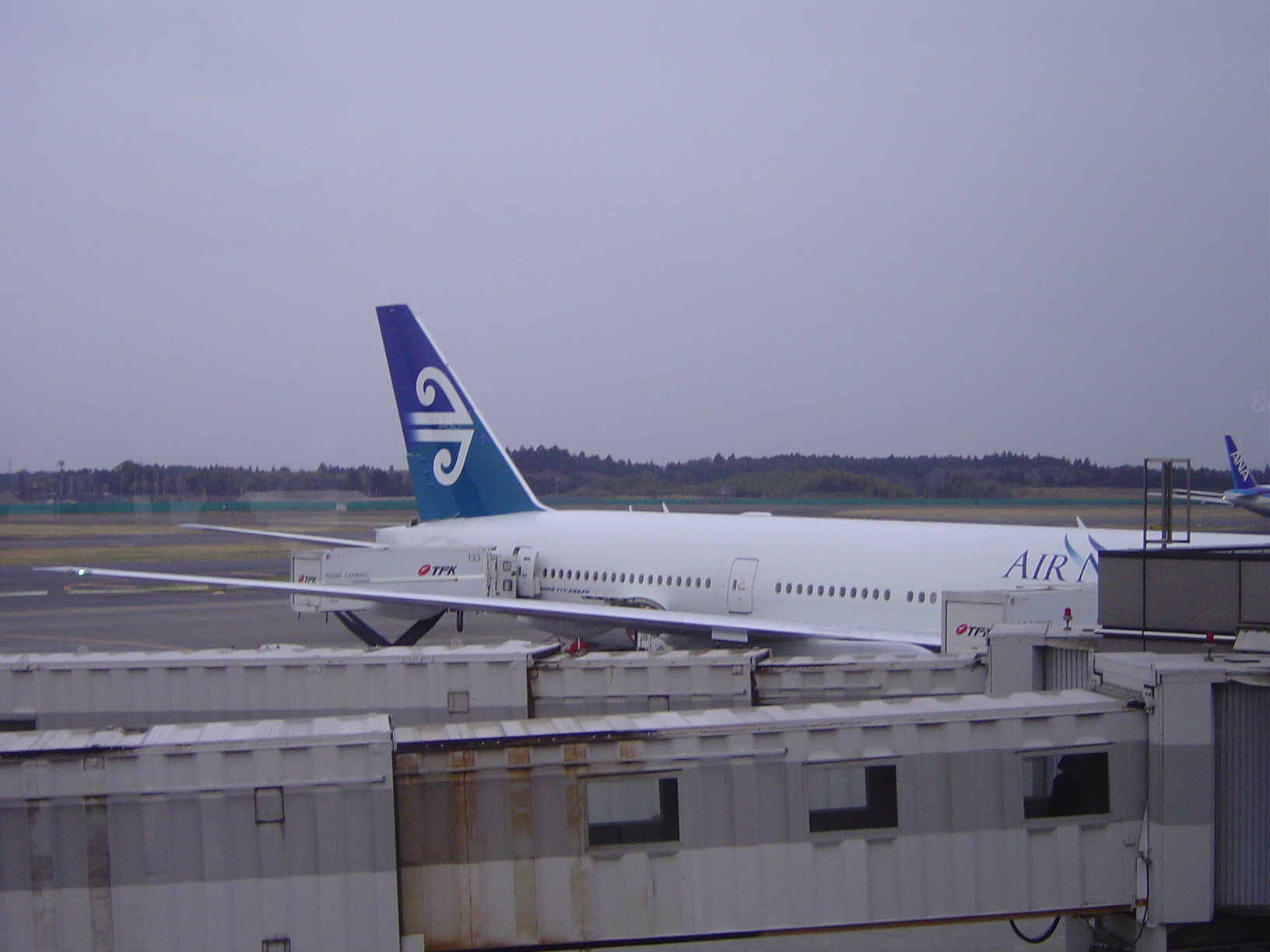ニュージーランド航空 搭乗記 機内食編 池っちの あっちこっち旅行記 北海道移住日記