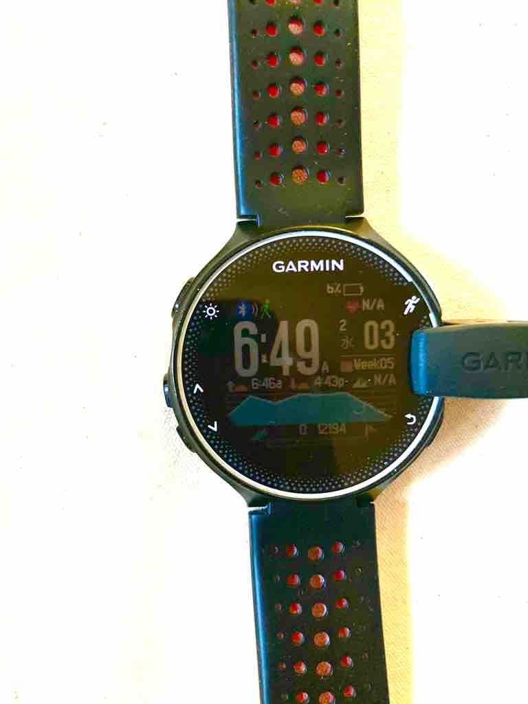 ◇ガーミン（GARMIN) 230J フリーズ◇ : ☆池っちの、あっち