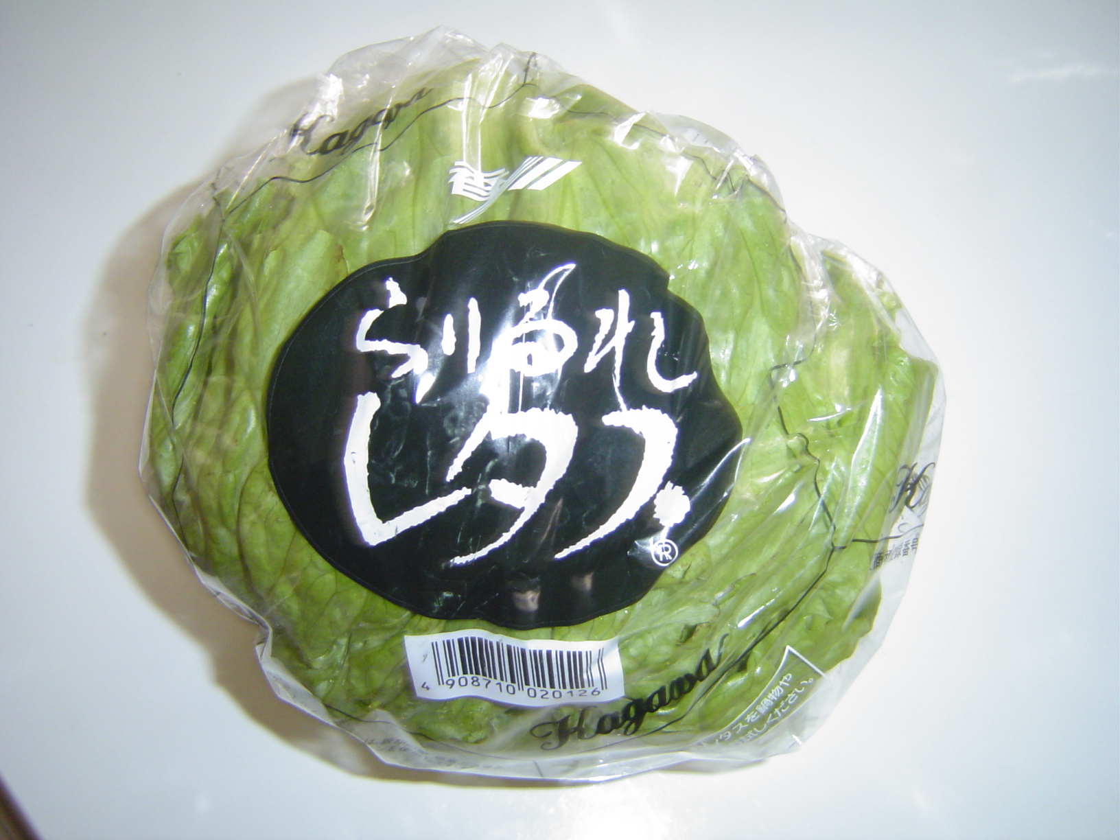 らりるれ レタスって あはは 池っちの あっちこっち旅行記 北海道移住日記