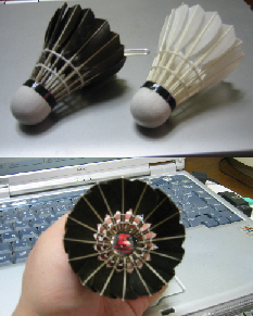 黒い羽根 バドミントンって奥深い 指導者考
