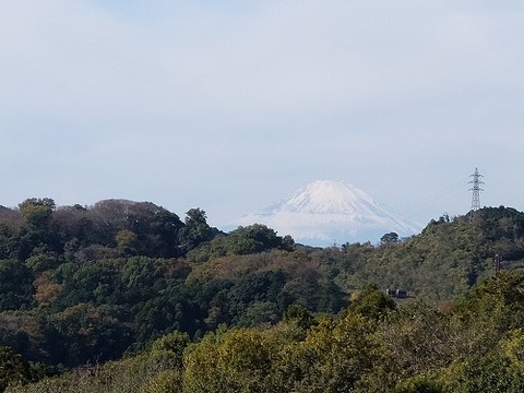 横浜・富士山_1