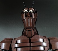 TF06