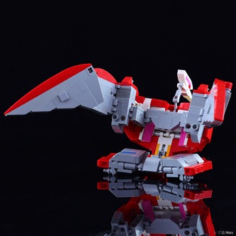daizyujin593A3798