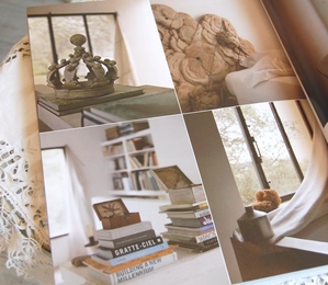 ���㥯�꡼�̥��ӥ�