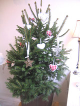 ���ꥹ�ޥ��ĥ꡼