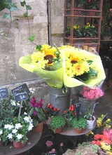 ���󡦥륤��Τ��ֲ�����