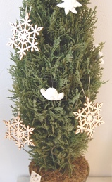 ���ꥹ�ޥ��ĥ꡼