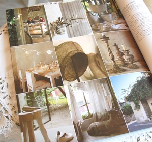 ���㥯�꡼�̥��ӥ�