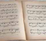 �Ť�����