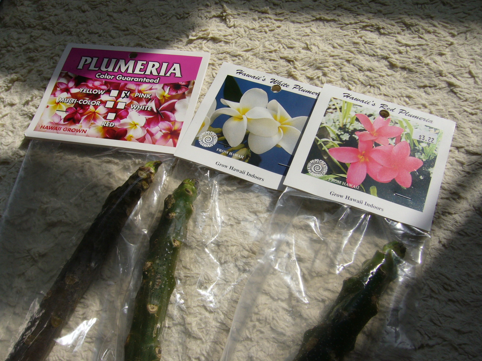 Abc プルメリア Leilina Tropical プルメリア栽培日記