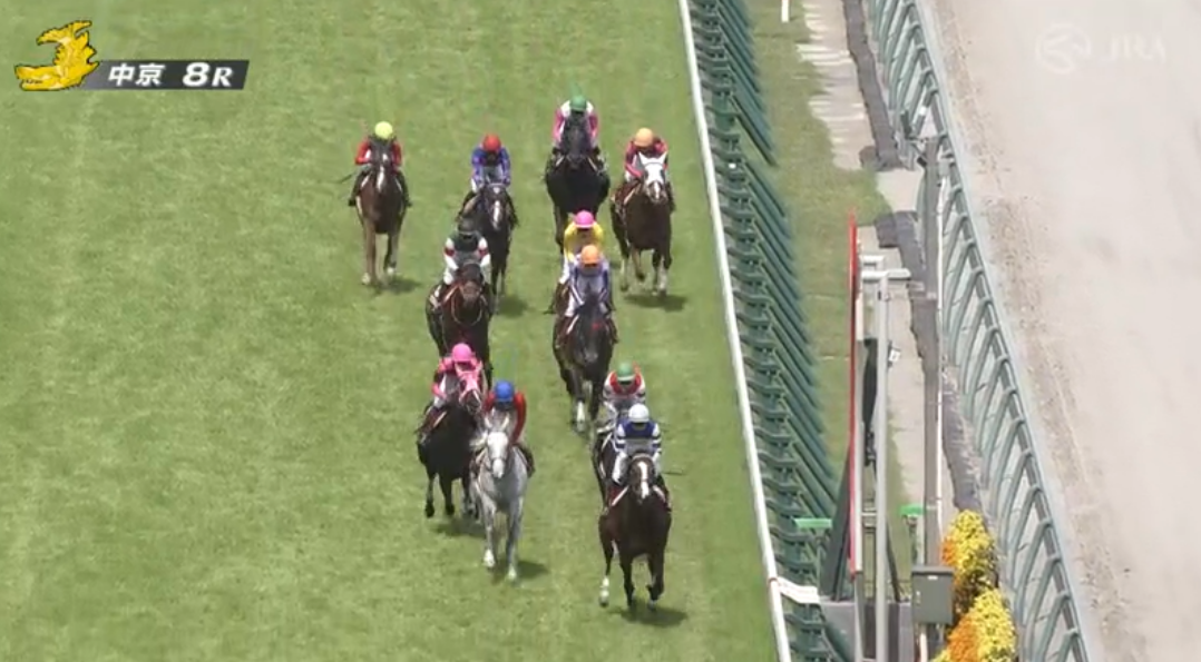 京都ハイジャンプ 21 結果と回顧 まったり観戦 予想 回顧 京都ハイジャンプ 21 結果と回顧 まったり観戦 予想 回顧