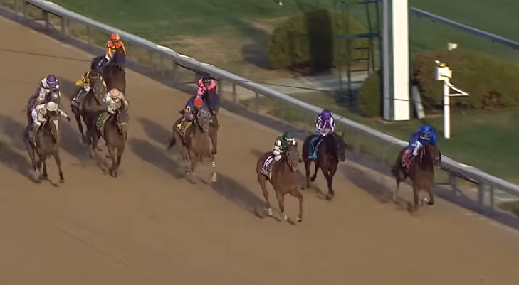 南アフリカで鞭禁止のレースが行われる : まったり観戦・予想・回顧