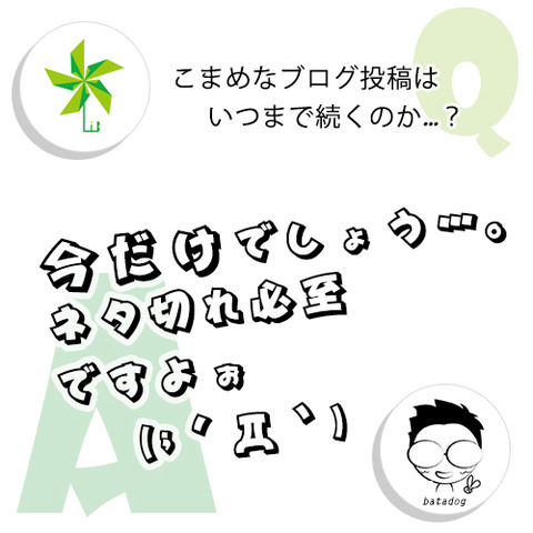 今だけでしょう…