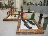 野山の花