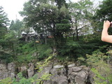 人気