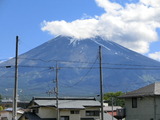 墓から