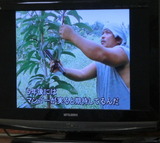 期待
