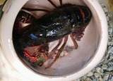 海老が二・卵