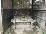 井戸