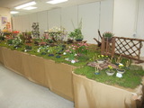 野の花