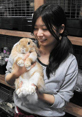 PK2010120402100120_size0