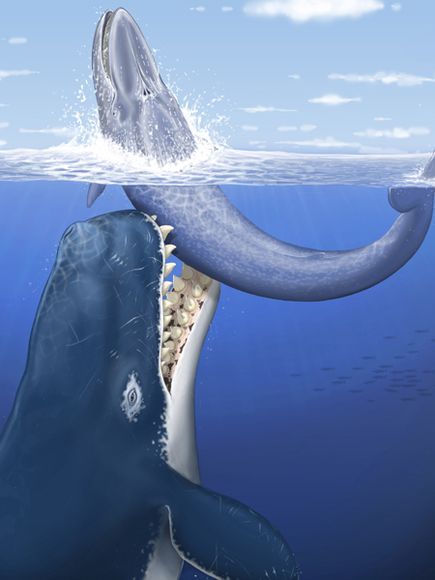 whale01-leviathan-rendering_22737_600x450