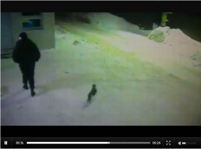 23901a93baaa5db71803913f009360a5