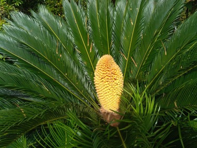 不幸は突然に 幸福はゆっくり来る 京都 山里に暮らす