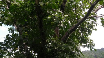 P_20190710_095353