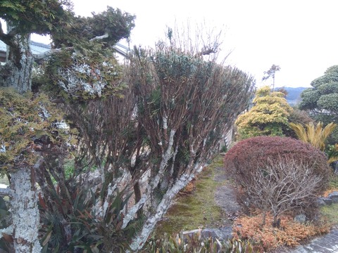 P_20230305_102502