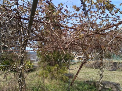 P_20210327_104300