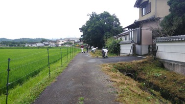 P_20190715_073751_002