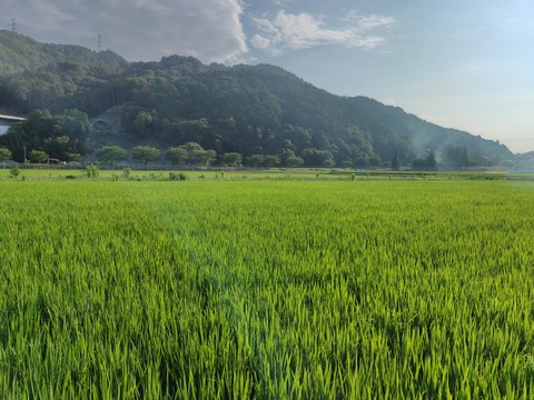 260719071039165