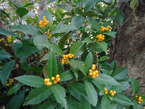 P_20231205_150909