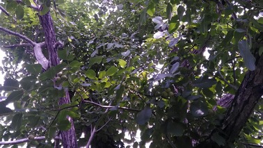 P_20190724_092613