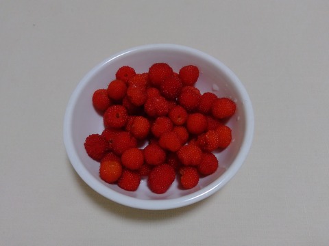 P_20220522_123759