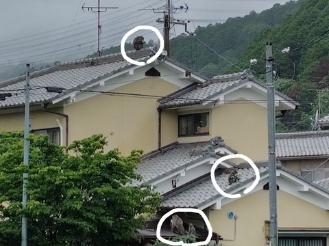 260626102236925~2